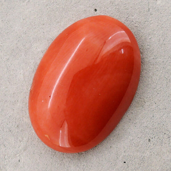 Japanese Red Coral