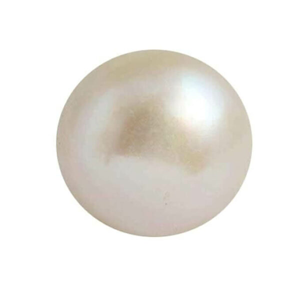 KC Pearl - Image 3