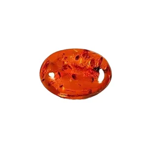 Amber Stone